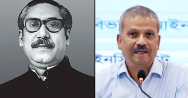 বঙ্গবন্ধুর জন্ম না হলে দেশ স্বাধীন হতো না: আসিফ নজরুল