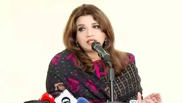 জাপান সফরে থাকছেন না রাষ্ট্রদূত দাউদ আলী