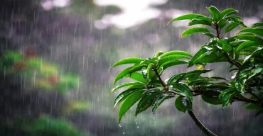 লঘুচাপের প্রভাব ও আজকের আবহাওয়ার পূর্বাভাস