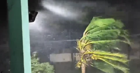 ঘূর্ণিঝড় ‘অর্ণব’-এর তাণ্ডব: অন্ধ্র উপকূলে ঘণ্টায় ১৫০ কিলোমিটার গতি