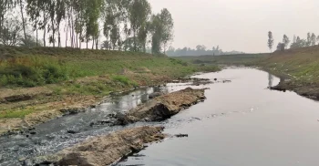 শিল্পবর্জ্যে বিষাক্ত হবিগঞ্জের সুতাং নদী, হারিয়েছে জীববৈচিত্র্য