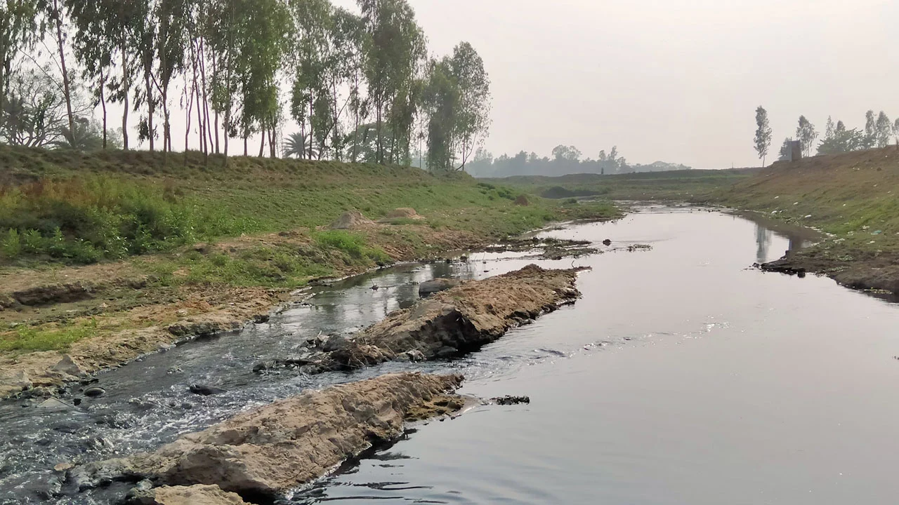 শিল্পবর্জ্যে বিষাক্ত হবিগঞ্জের সুতাং নদী, হারিয়েছে জীববৈচিত্র্য