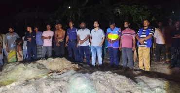 নিষেধাজ্ঞা শেষে ইলিশ শিকারে নামছেন দশমিনার জেলেরা