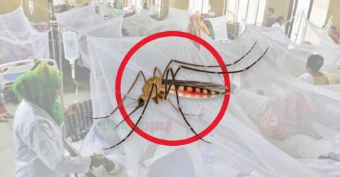 ডেঙ্গুতে এক দিনে রেকর্ড ১০ জনের মৃত্যু