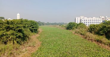 নাব্য সংকটে শিবচরের নদ-নদী: অস্তিত্বের ঝুঁকিতে মরা আড়িয়াল খাঁ