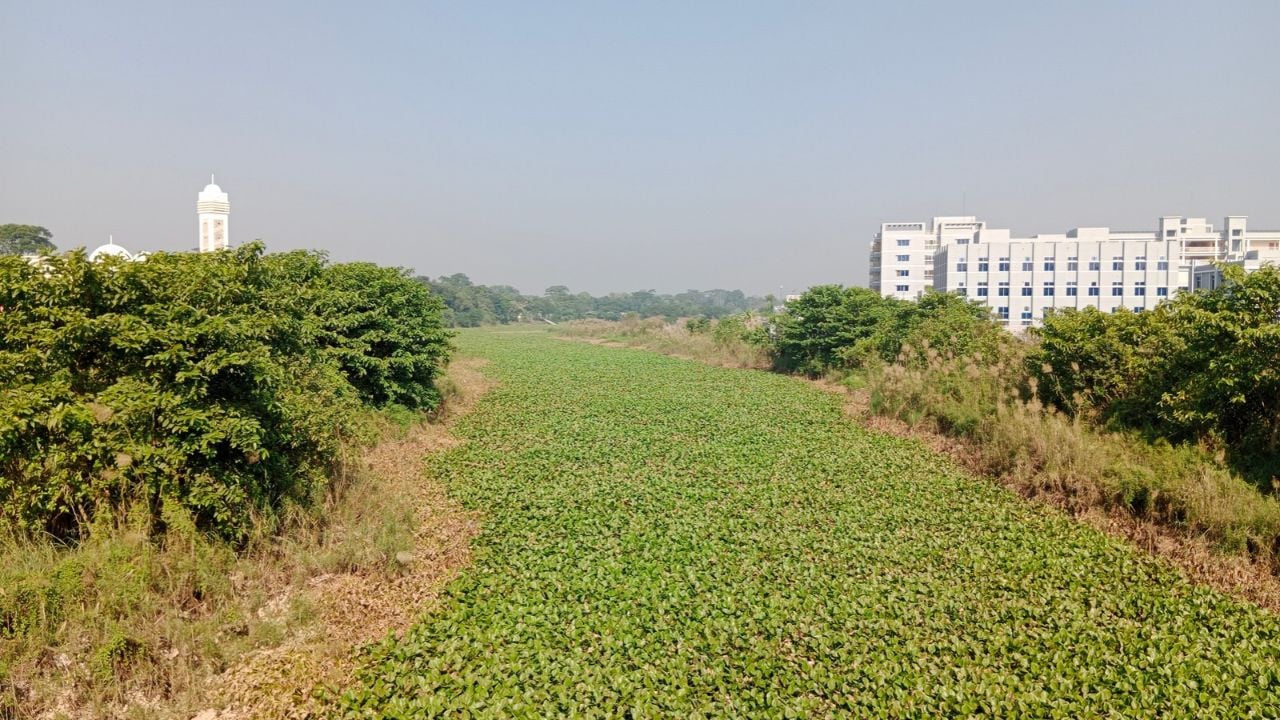 নাব্য সংকটে শিবচরের নদ-নদী: অস্তিত্বের ঝুঁকিতে মরা আড়িয়াল খাঁ