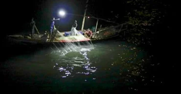 নিষেধাজ্ঞা অমান্য: চাঁদপুরের মেঘনায় প্রকাশ্যে ইলিশ শিকার ও কেনাবেচা